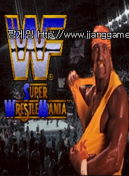 WWF ½´ÆÛ ·¹½½¸Å´Ï¾Æ wwf super wr~