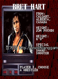 WWF ·Î¿ì wwf raw
