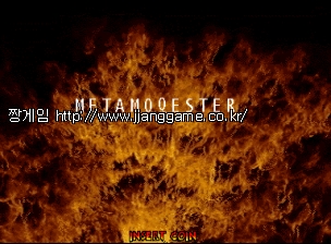 ¸ÞŸ¸ðÄɽºÅÍ Metamoqester (International)